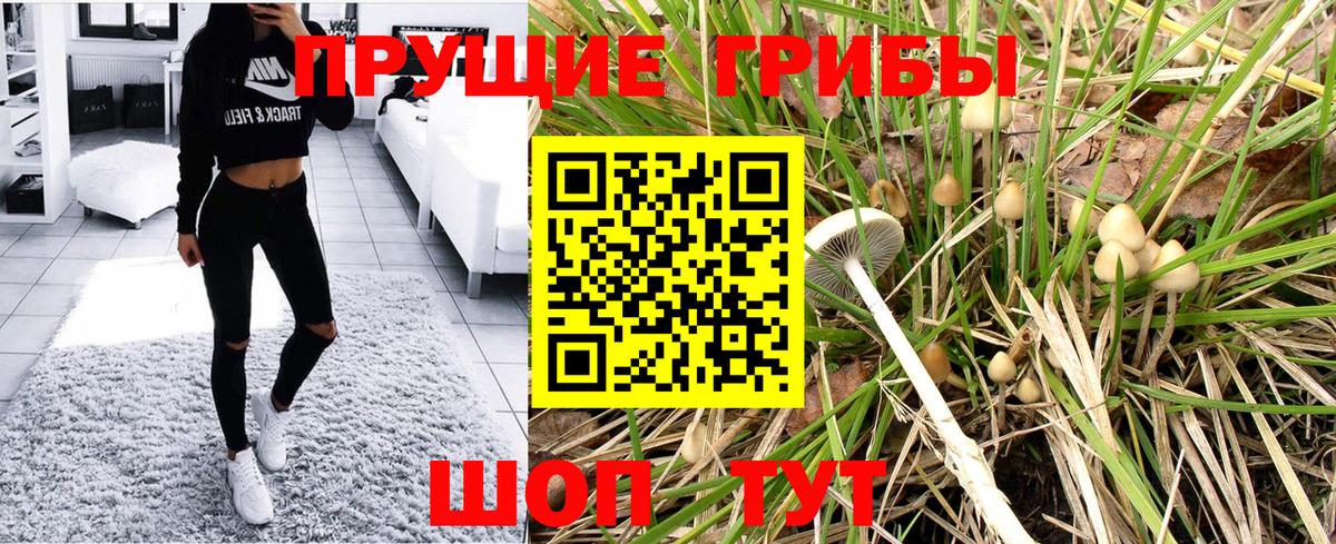 закладки  Псилоцибиновые грибы мухоморы  Вход с VPN  Брянск 